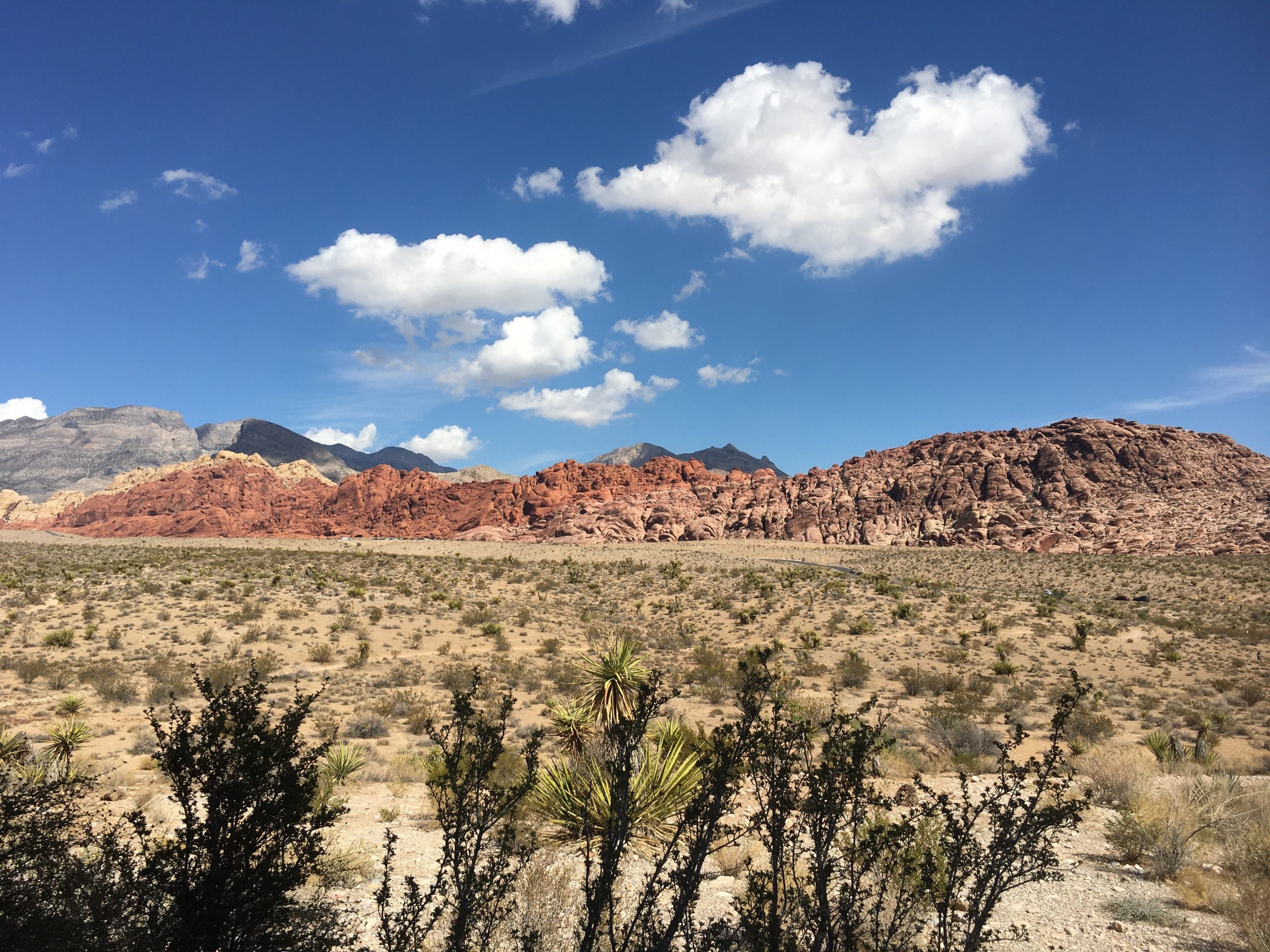 Red Rock Canyon2